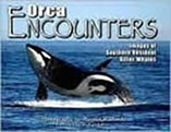 book cover of Orca Encounters